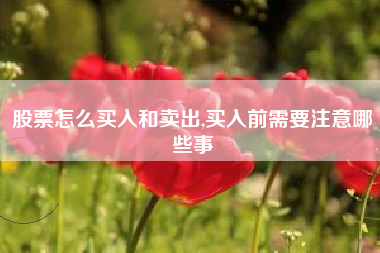 股票怎么买入和卖出,买入前需要注意哪些事