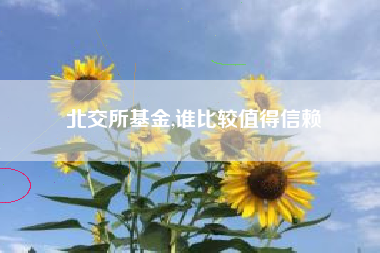 北交所基金,谁比较值得信赖