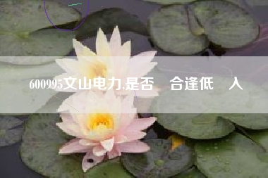 600995文山电力,是否適合逢低買入