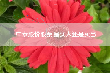 中泰股份股票,是买入还是卖出