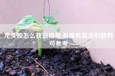 龙头股怎么找最简单,有哪些常见的趋势可参考