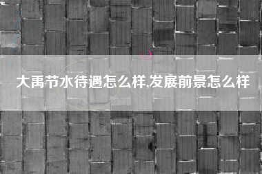 大禹节水待遇怎么样,发展前景怎么样