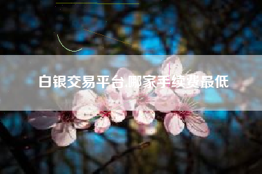白银交易平台,哪家手续费最低