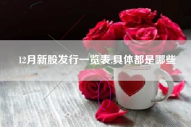 12月新股发行一览表,具体都是哪些