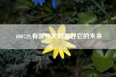 600729,有哪些大鳄看好它的未来
