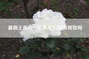 最新上市etf一览表,它们的表现如何