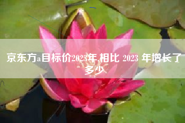 京东方a目标价2023年,相比 2023 年增长了多少