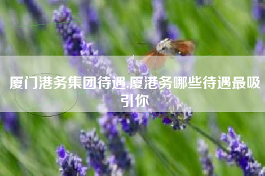 厦门港务集团待遇,厦港务哪些待遇最吸引你