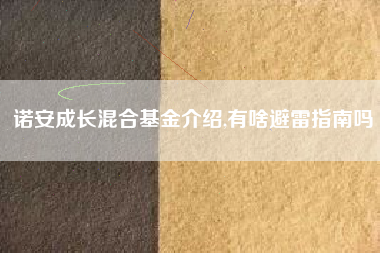 诺安成长混合基金介绍,有啥避雷指南吗