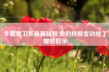 牛散葛卫东最新持股,他的持股变动给了哪些启示