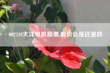 002249大洋电机股票,股价会涨还是跌