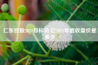 仁东控股2021目标价,它2021年底收盘价是多少