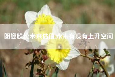 朗姿股份未来估值,未来有没有上升空间