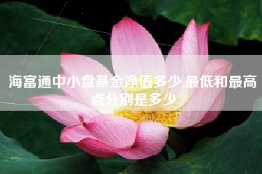 海富通中小盘基金净值多少,最低和最高点分别是多少