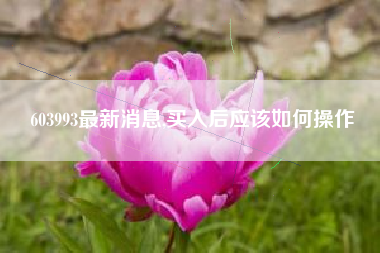 603993最新消息,买入后应该如何操作