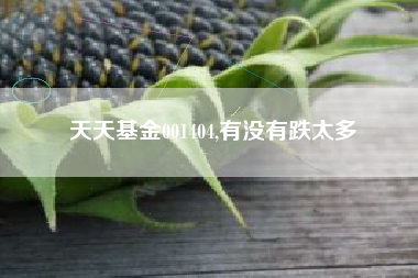 天天基金001404,有没有跌太多