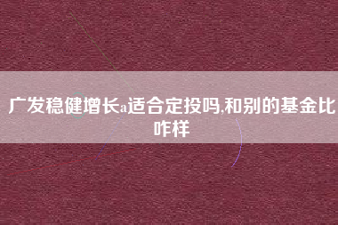 广发稳健增长a适合定投吗,和别的基金比咋样