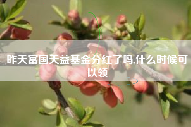 昨天富国天益基金分红了吗,什么时候可以领