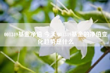 001349基金净值 今天,001349基金的净值变化趋势是什么