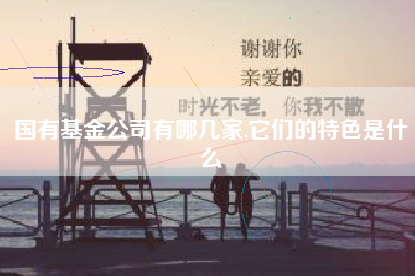 国有基金公司有哪几家,它们的特色是什么