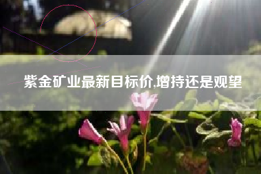 紫金矿业最新目标价,增持还是观望