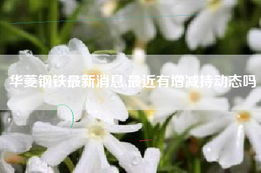 华菱钢铁最新消息,最近有增减持动态吗