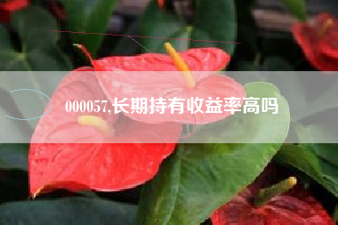 000057,长期持有收益率高吗