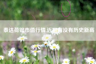 泰达荷银市值行情,近期有没有历史新高