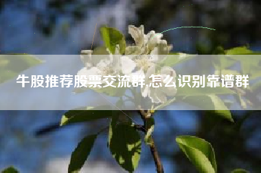 牛股推荐股票交流群,怎么识别靠谱群