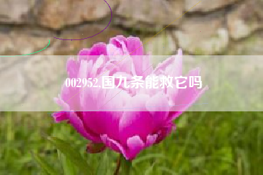 002952,国九条能救它吗