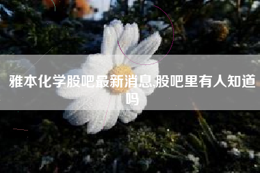 雅本化学股吧最新消息,股吧里有人知道吗