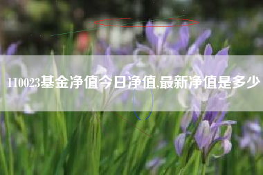 110023基金净值今日净值,最新净值是多少