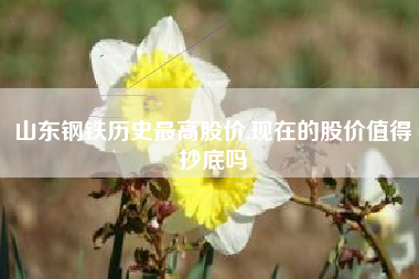 山东钢铁历史最高股价,现在的股价值得抄底吗
