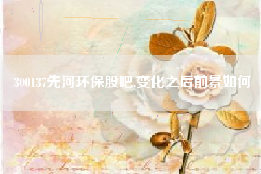300137先河环保股吧,变化之后前景如何