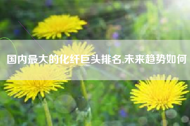国内最大的化纤巨头排名,未来趋势如何