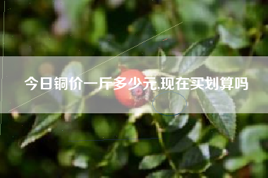 今日铜价一斤多少元,现在买划算吗
