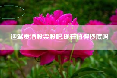 迎驾贡酒股票股吧,现在值得抄底吗