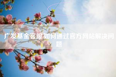 广发基金客服,如何通过官方网站解决问题