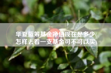 华夏蓝筹基金净值现在是多少(
怎样去看一支基金可不可以买)
