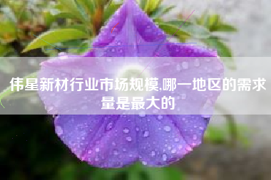 伟星新材行业市场规模,哪一地区的需求量是最大的