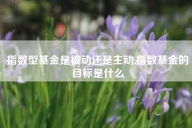 指数型基金是被动还是主动,指数基金的目标是什么
