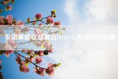 农银策略收益混合(010347),有没有认购费