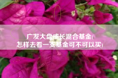 广发大盘成长混合基金(
怎样去看一支基金可不可以买) 广发大盘成长混合基金(
怎样去看一支基金可不可以买)