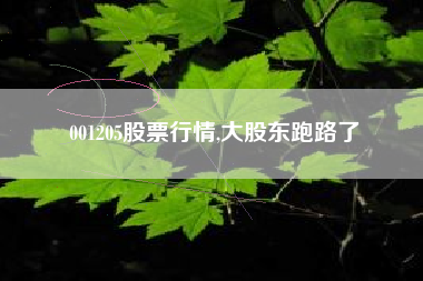 001205股票行情,大股东跑路了