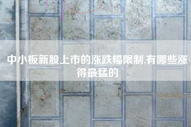 中小板新股上市的涨跌幅限制,有哪些涨得最猛的