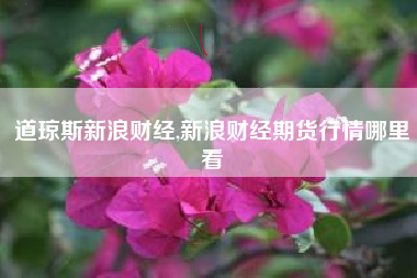 道琼斯新浪财经,新浪财经期货行情哪里看