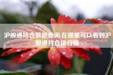 沪股通持仓数据查询,在哪里可以看到沪股通持仓排行榜