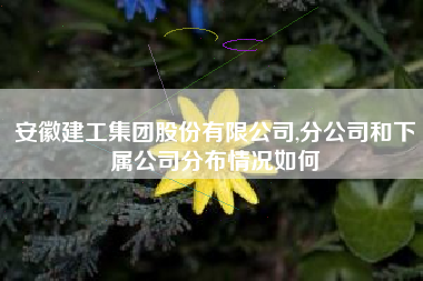 安徽建工集团股份有限公司,分公司和下属公司分布情况如何