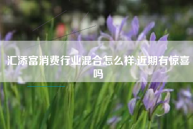 汇添富消费行业混合怎么样,近期有惊喜吗