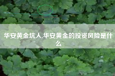 华安黄金坑人,华安黄金的投资风险是什么
